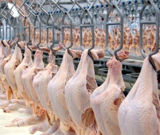 Brasil aumenta em 40% as vendas de carne de frango para o Qatar