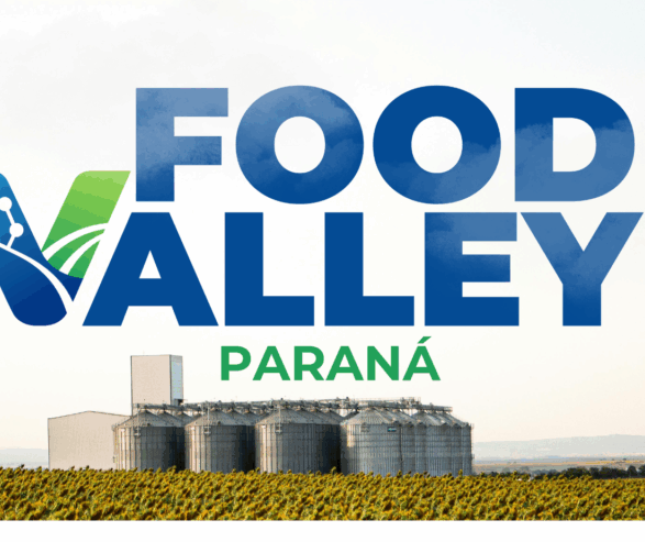 Food Valley Paraná é lançado como hub de inovação tecnológica para o agronegócio